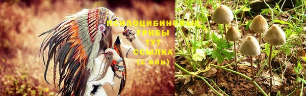 гашик Балабаново